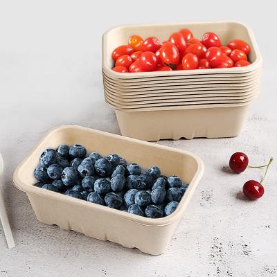 China Biodegradable Bagasse Fruit Box with Holes for Party Fruit Store for sale