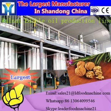 China Automatic Small Mini Home Screw Oil Press Machine for sale