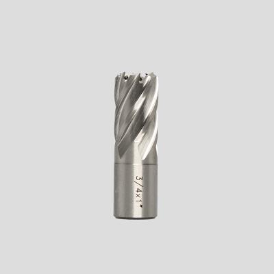 China 100mm Hss Annular Cutters Core Hole Drill For Metal Steel Drilling à venda