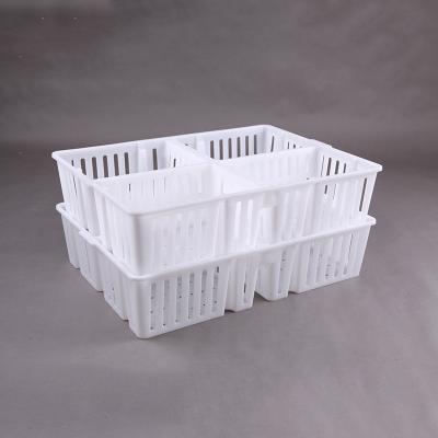 China Poultry One Day Old Chick Transport Boxes 1900g Livestock Equipment Accessories for sale