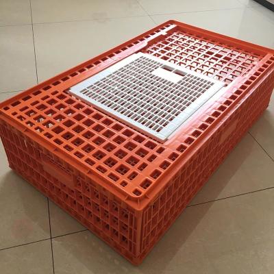 China Raw PP Plastic Chicken Transport Box 7500g 4500g Livestock Equipment Accessories for sale