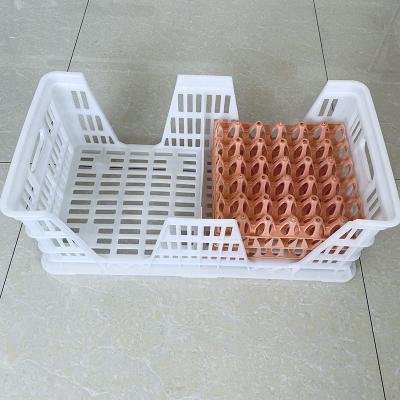 China Raw PP Hatchery Layer Egg Transport Box 700*360*270mm For Chicken Farm for sale