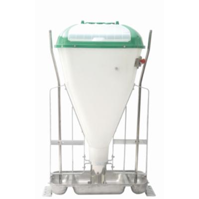 China Swine Farm SS304 Automatic Pig Feeder 110L Dry Wet Feeder for sale