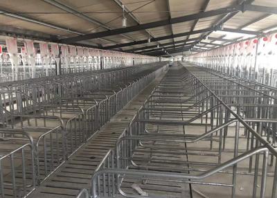 China HI HOPE Swine Breeding Equipment Automatic Drinker Gestation Pens For Sows for sale