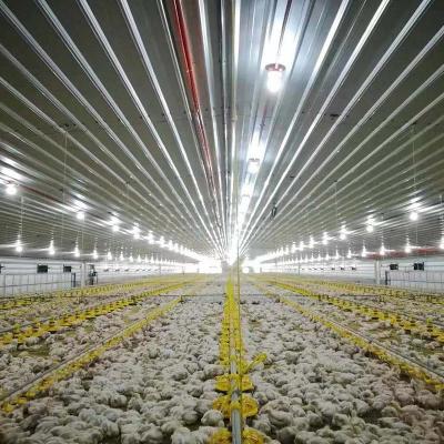 China 3m Tube Poultry Farming Drinker And Feeder for sale
