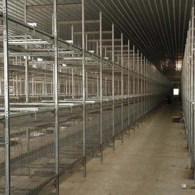China 6 8 jaulas de batería de las aves de corral de la colección de /H de los huevos de la jaula 17000 del pollo de la capa del pollo de las gradas en venta