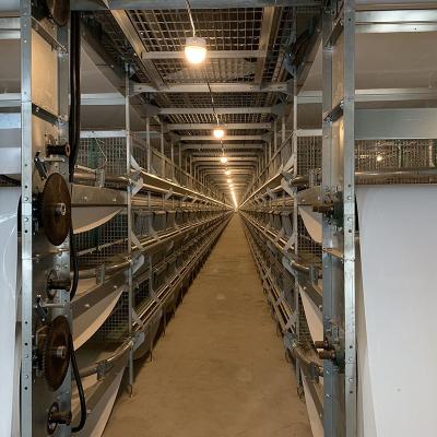 China OEM ODM 4 Tier Chicken Cage Automatic Layer Poultry Equipment for sale