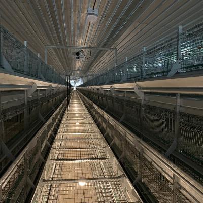 China Hot Galvanized Pullet H Type Chicken Layer Cage for sale