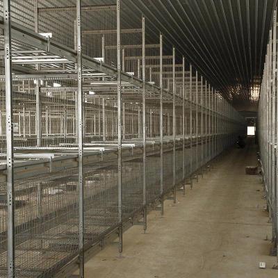 Китай Надежда клетки слоя батареи 200000 птиц Hi продается