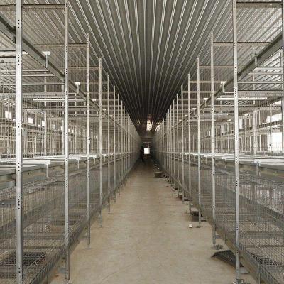 China CE SGS Poultry Farm Layer Cage 3-10 Tiers Trolley Feeding for sale
