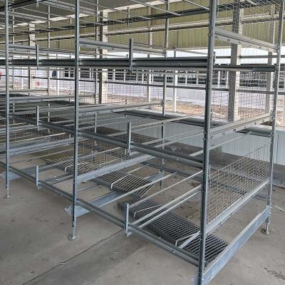 China 24.5'' Width Battery Cage System For Layers Broiler Pullet H Type for sale