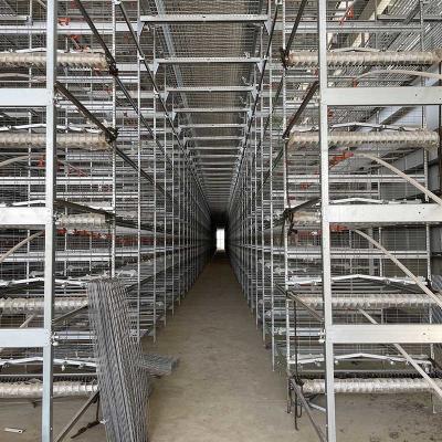 China Poultry Farm H Type Layer Cage 25.5 * 24.5'' Better FCR ISO9001 for sale