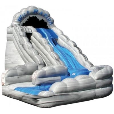 China Gray Inflatable Water Slides Big Double Lane Wild Rapids With Pool for sale