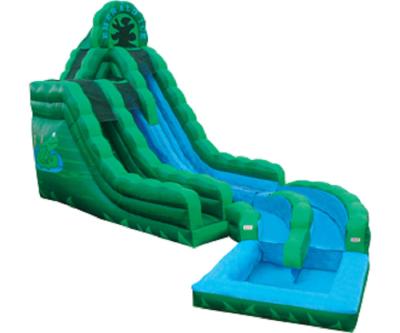 China Emerald Green Frog Fun Water Slides , Inflatable Double Rush Slip Wet Slide for sale