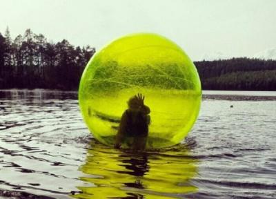 China Água inflável gigante amarela/azul brinca a bola humana da bolha da água à venda