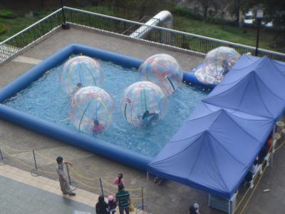 China 0.8mm starkes Erwachsen-großes menschliches Wasser-gehender Ball im aufblasbaren Pool zu verkaufen