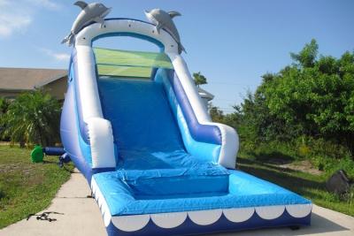 China Play Inflatable Water Slides For Kids / Dolphin Inflatable Pool Water Slide for sale