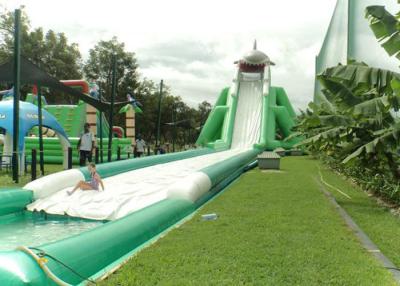 China Hippo Giant Inflatable Water Slide For Adult , Comercial Slide Water Slip And Slide With Pool for sale