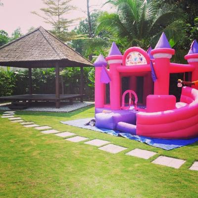 China Princesa rosada Inflatable Bouncy Castle, castillos de salto inflables para el partido de la muchacha en venta