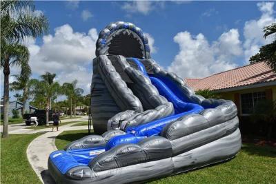 China Commercial Blue Huge Inflatable Slides Logo Printing Wild Rapids 24ft Dual Lane Slide With Pool for sale
