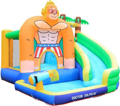 China Doctor Dolphin Inflatable Water Slide For Toddler Water Bounce House With Splash Pool for sale