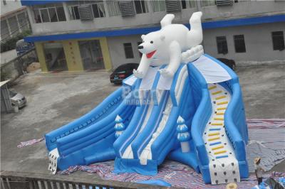China Giant Beautiful New Bear Swimming Pool Slide , Inflatable Pool Slide For Amusement Park for sale