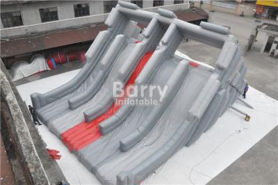 China Deagon Head Shaped Giant Adult Inflatable Slide With Step Behind for sale