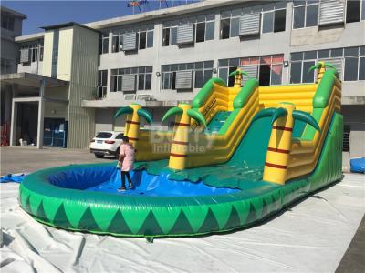 China Kids Inflatable Water Slides for sale