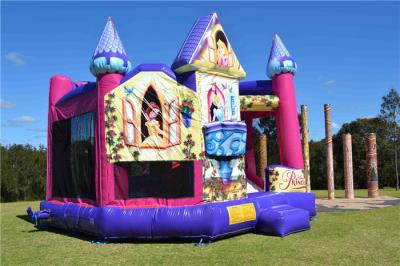 China Brightly Color Disney Princess 5 In1 Combo Jumping Castle For Amusement Park for sale
