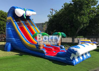 China Giant Inflatable Water Slides For Adult , Commercial 24′ Shark Sighted Dual Lane Slide , for sale