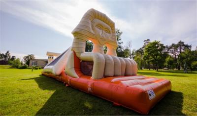 China 0.55mm PVC Inflatable Egypt Bouncing Castles Combo  ,  Inflatable Jumping Castle for sale