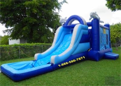 China Mini Backyard Inflatable Water Slides / Amusement Park Water Slide And Bouncer for sale