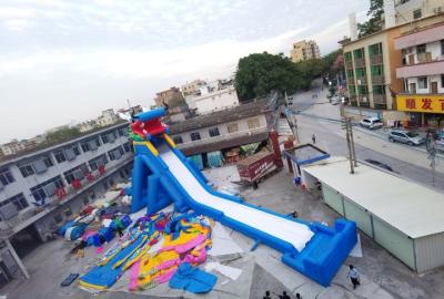 China Dragon Inflatable Water Slides Adult Amusement Park Super Slide for sale