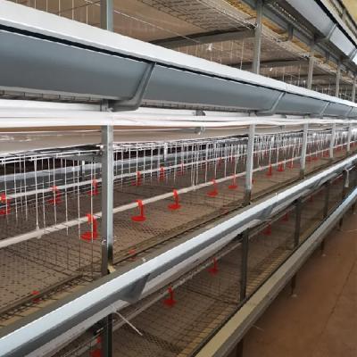 China Durable H Frame Automatic Chicken Broiler Cage Electric Cages with Q235A Steel for sale