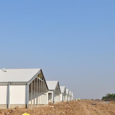 China Poultry farm Henhouse turnkey solution for sale