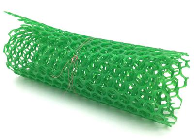 China 50m Length Plastic Mesh Netting Green Extruded Chicken Wire Fence Te koop