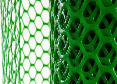 China Hexagonal Hole Plastic Mesh Netting Green Color UV Resistance For Poultry Farming for sale