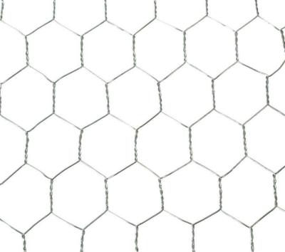 China Steel Hexagonal Wire Netting For Chicken / Ducks / Gooses / Rabbits Feeding for sale