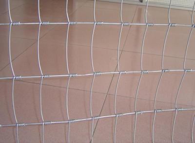 China Gesponnener Feld-Zaun mit heißem eingetauchtem galvanisiertem Scharnier-Gelenk-Knoten/reparierte Knoten zu verkaufen