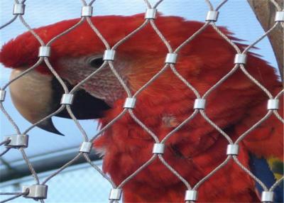 中国 保護のためのステンレス鋼ワイヤー ロープの網の塀/鳥の飼鳥園の金網の網 販売のため