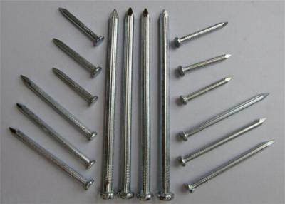 China El alambre de metal anticorrosión clava el clavo común del hierro del acero Q195 utilizado para los muebles en venta
