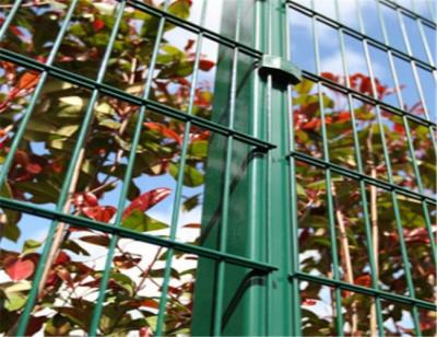 China Security Double 3.5mm Wire Mesh Fence System for sale