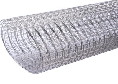 China 10mm Hole Chicken Galvanised Square Wire Mesh for sale