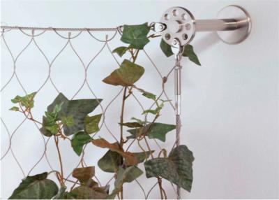 중국 정원을 위한 1.5mm 두꺼운 철사 밧줄 그물 304l 스테인리스 식물 등반 벽 판매용