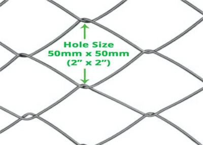 China 2 Inch Metal Chain Link Fence 50mm Diamond Hole Cyclone Wire Roll for sale