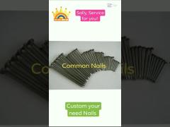 COMMON NAILS