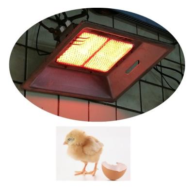 China Natural Gas LPG Poultry Chicken Brooder Heaters Aluminum Poultry House Brooders for sale