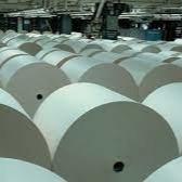 China 60um 48gsm POS Machine Thermal Paper Jumbo Roll BPA Free for sale