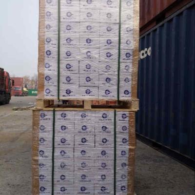 China 100% Wood Pulp Photo Copy Paper OEM A4 Size & Letter Size 70gsm/75gsm/80gsm à venda