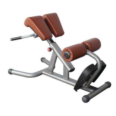 China BFT-2033 reverse hyper extension,Roman Chair workout equipment for sale